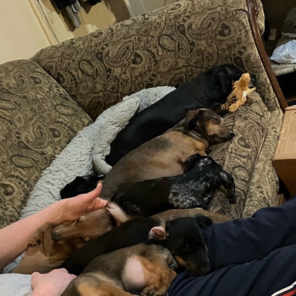 Meet your Posher, Tracie - Picture 12 of 13